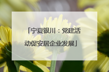 宁夏银川：党建活动促安居企业发展