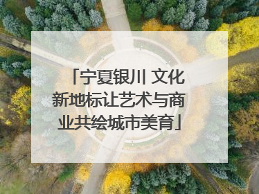 宁夏银川 文化新地标让艺术与商业共绘城市美育
