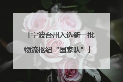 宁波台州入选新一批物流枢纽“国家队”