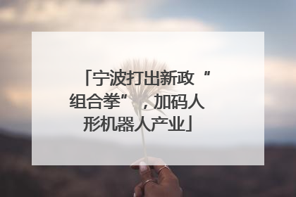 宁波打出新政“组合拳”，加码人形机器人产业