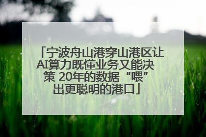 宁波舟山港穿山港区让AI算力既懂业务又能决策 20年的数据“喂”出更聪明的港口