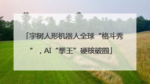 宇树人形机器人全球“格斗秀”，AI“拳王”硬核破圈