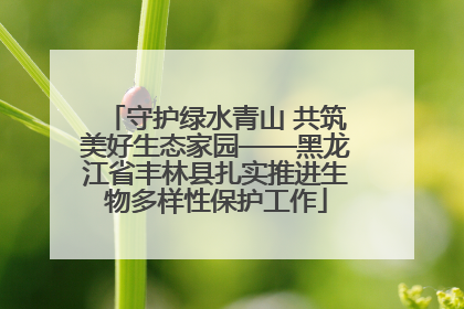 守护绿水青山 共筑美好生态家园——黑龙江省丰林县扎实推进生物多样性保护工作