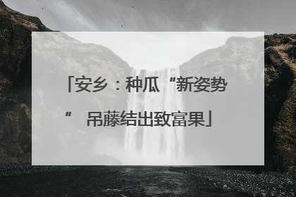 安乡：种瓜“新姿势” 吊藤结出致富果