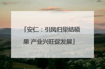 安仁：引凤归巢结硕果 产业兴旺促发展