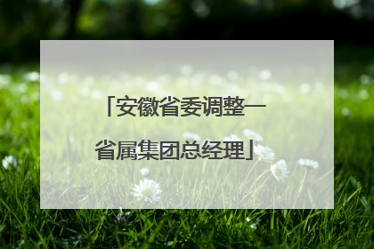 安徽省委调整一省属集团总经理