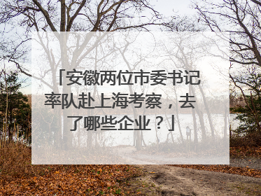 安徽两位市委书记率队赴上海考察，去了哪些企业？
