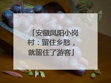 安徽凤阳小岗村：留住乡愁，就留住了游客