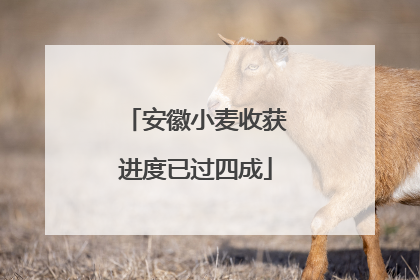 安徽小麦收获进度已过四成