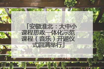 安徽淮北：大中小课程思政一体化示范课程（音乐）开题仪式圆满举行