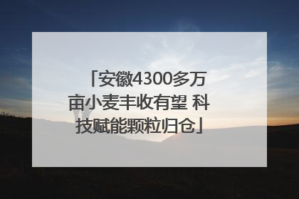 安徽4300多万亩小麦丰收有望 科技赋能颗粒归仓