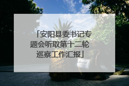 安阳县委书记专题会听取第十二轮巡察工作汇报
