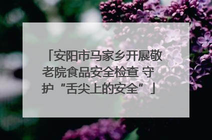 安阳市马家乡开展敬老院食品安全检查 守护“舌尖上的安全”