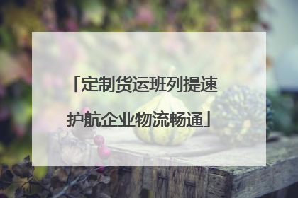 定制货运班列提速 护航企业物流畅通