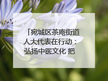 宛城区茶庵街道人大代表在行动：弘扬中医文化 把脉基层健康