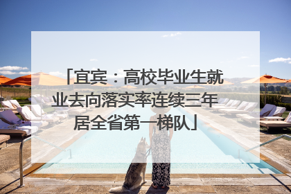 宜宾：高校毕业生就业去向落实率连续三年居全省第一梯队