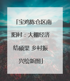 宝鸡陈仓区南阳村：大棚经济结硕果 乡村振兴绘新图