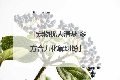 宠物扰人清梦 多方合力化解纠纷