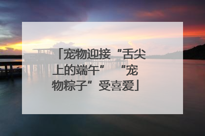宠物迎接“舌尖上的端午” “宠物粽子”受喜爱