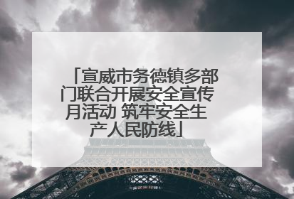 宣威市务德镇多部门联合开展安全宣传月活动 筑牢安全生产人民防线