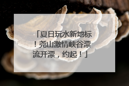 夏日玩水新地标！尧山激情峡谷漂流开漂，约起！