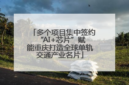 多个项目集中签约 “AI+芯片”赋能重庆打造全球单轨交通产业名片