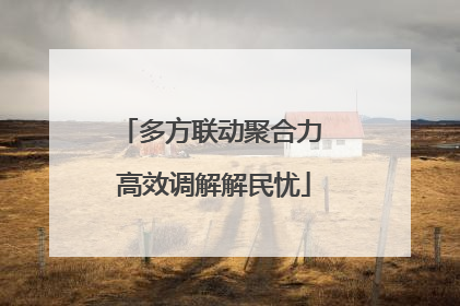 多方联动聚合力 高效调解解民忧
