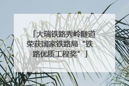 大瑞铁路秀岭隧道荣获国家铁路局“铁路优质工程奖”