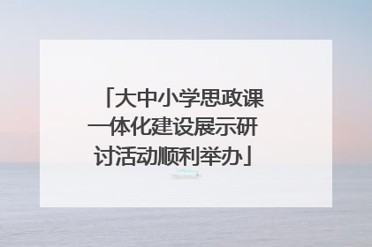 大中小学思政课一体化建设展示研讨活动顺利举办