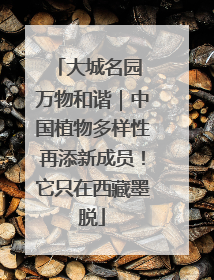 大城名园 万物和谐｜中国植物多样性再添新成员！它只在西藏墨脱