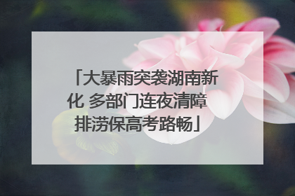 大暴雨突袭湖南新化 多部门连夜清障排涝保高考路畅
