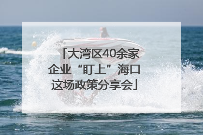 大湾区40余家企业“盯上”海口这场政策分享会