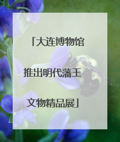 大连博物馆推出明代藩王文物精品展