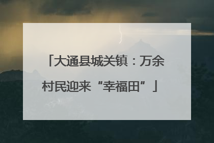 大通县城关镇：万余村民迎来“幸福田”