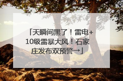 天瞬间黑了！雷电+10级雷暴大风！石家庄发布双预警→