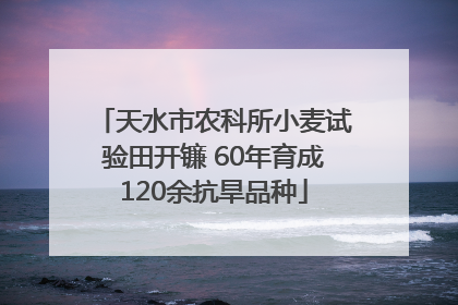 天水市农科所小麦试验田开镰 60年育成120余抗旱品种