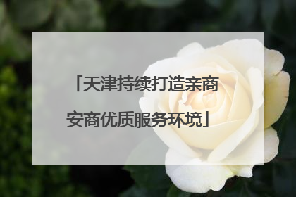 天津持续打造亲商安商优质服务环境