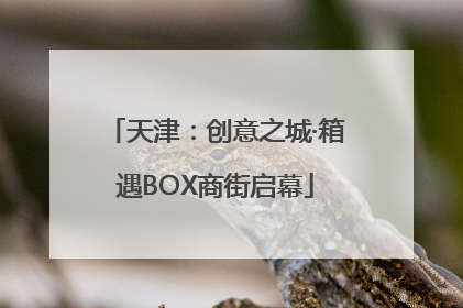 天津：创意之城·箱遇BOX商街启幕