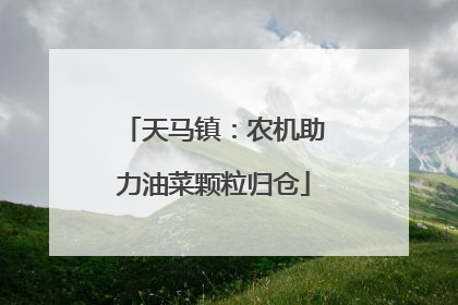天马镇：农机助力油菜颗粒归仓