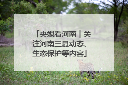 央媒看河南｜关注河南三夏动态、生态保护等内容