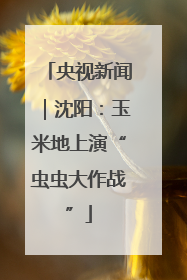 央视新闻｜沈阳：玉米地上演“虫虫大作战”