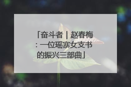 奋斗者｜赵春梅：一位瑶寨女支书的振兴三部曲