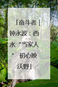 奋斗者｜钟永波：西水“当家人” 初心映沃野