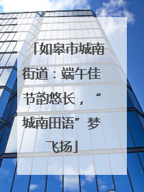 如皋市城南街道：端午佳节韵悠长，“城南田语”梦飞扬