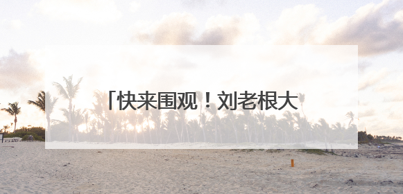 快来围观！刘老根大舞台2025全国巡演宿迁站开始抢票啦