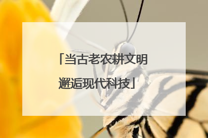 当古老农耕文明邂逅现代科技