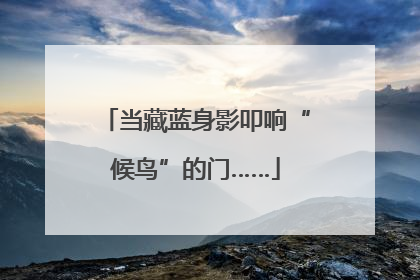 当藏蓝身影叩响“候鸟”的门……