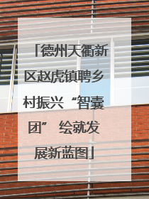 德州天衢新区赵虎镇聘乡村振兴“智囊团” 绘就发展新蓝图