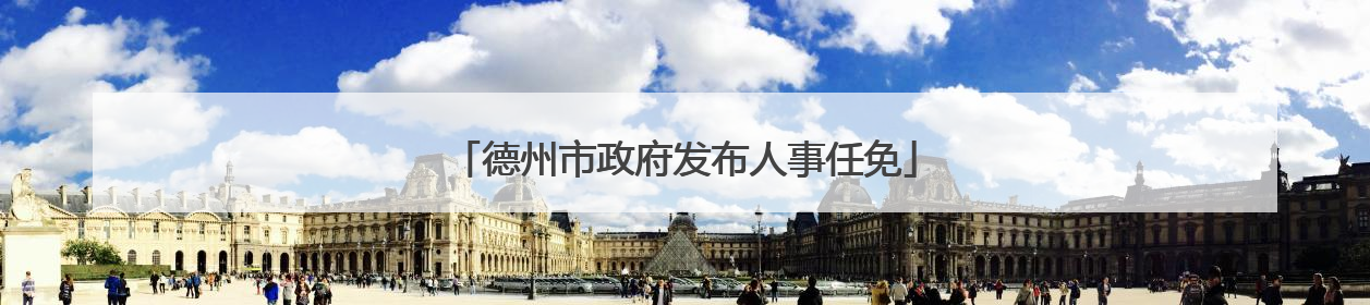 德州市政府发布人事任免