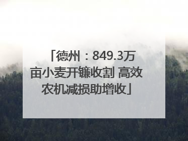 德州：849.3万亩小麦开镰收割 高效农机减损助增收